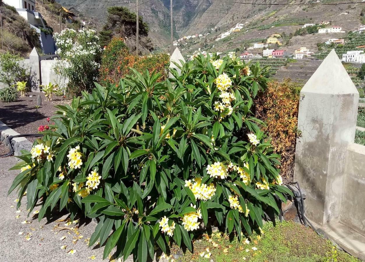 Gomera Garden. Vista Mar Altozano Hermigua Εξωτερικό φωτογραφία